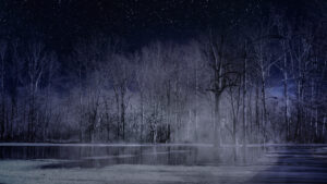 IR Night Sky